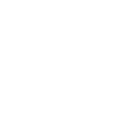 Geeky