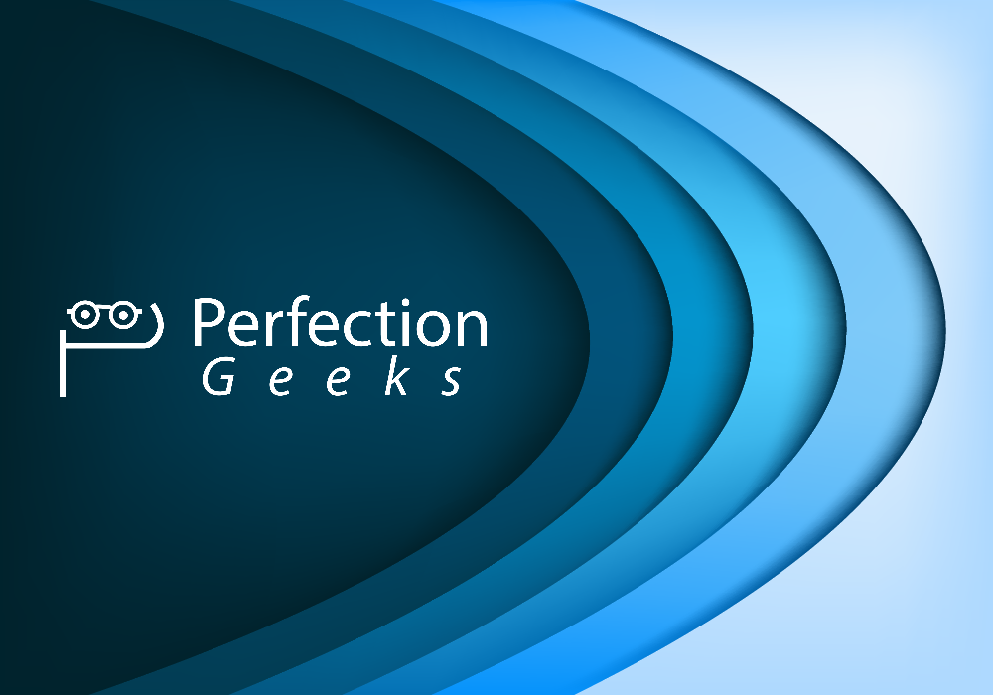 About PerfectionGeeks Technologies